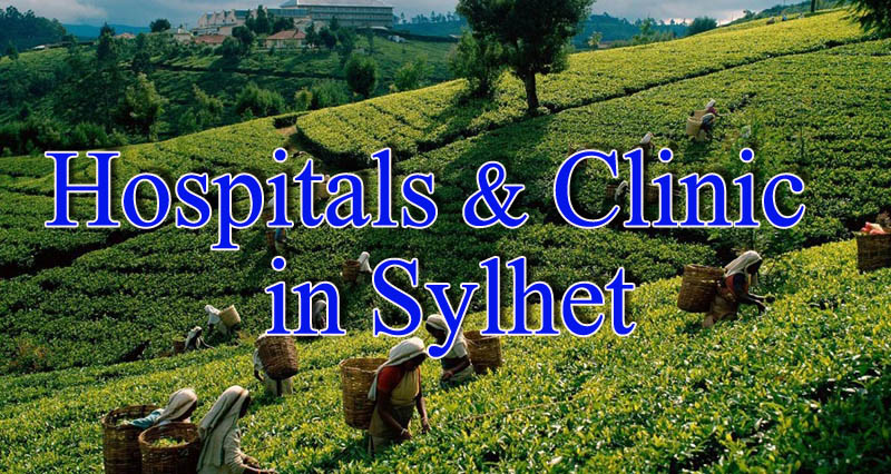 Hospital & Clinic List in Sylhet